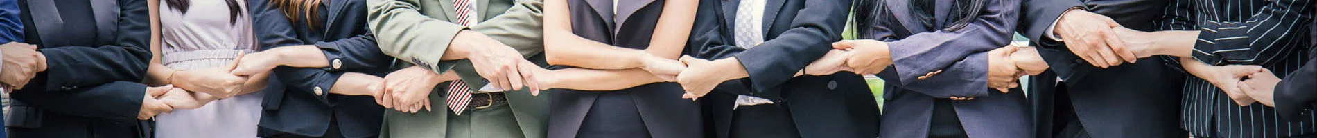 Background image of the search section