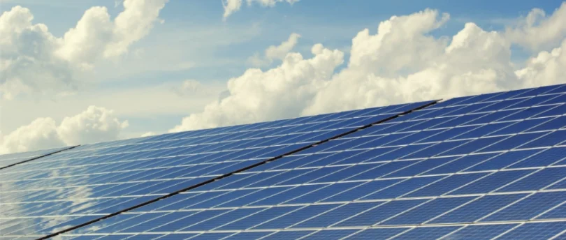 Main tenant une plante